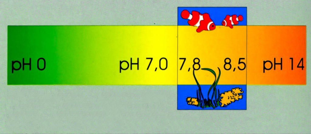 pH2