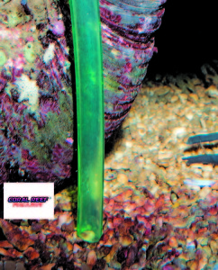 Aspirare i detriti e le coperture algali.