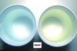 Un confronto fra l’acqua marina fresca di preparazione e quella prelevata da un acquario di barriera avviato. Si vede chiaramente la differenza di colore: quella fresca non ha alcun colore.