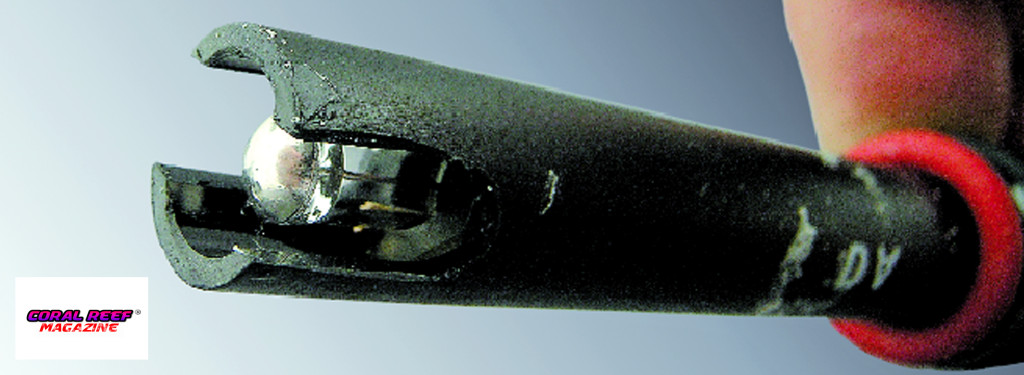 Una sonda per la misurazione del Redox: la si riconosce dalla punta in metallo, che la distingue da una per il pH. 