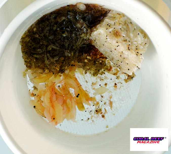 Un assortimento di diversi mangimi congelati.