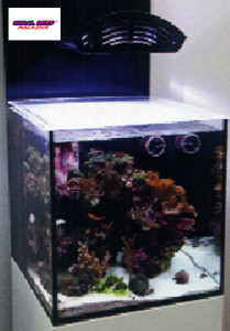 Per evitare un danno ai coralli in questo caso, dopo la sostituzione della lampada con un faro HQI, si è fatto uso temporaneamente di un filtro di dispersione. 