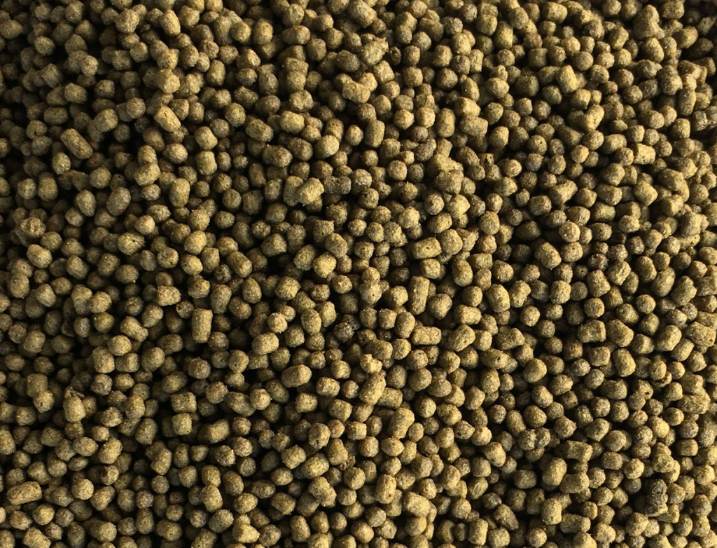 marinefishpelletsneu1