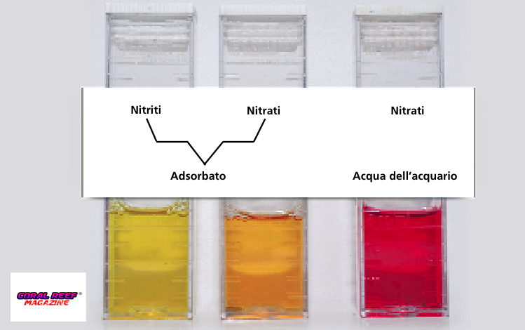 Le analisi dei nitriti (sinistra) e dei nitrati (destra) presenti nell’adsorbato. Entrambe le sostanze non sono ravvisabili, come dimostra la colorazione gialla. Al contrario è evidente la presenza dei nitrati nell’acqua marina molto inquinata da dove proviene l’adsorbato (destra).